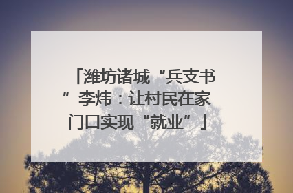 潍坊诸城“兵支书”李炜：让村民在家门口实现“就业”