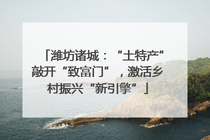 潍坊诸城：“土特产”敲开“致富门”，激活乡村振兴“新引擎”