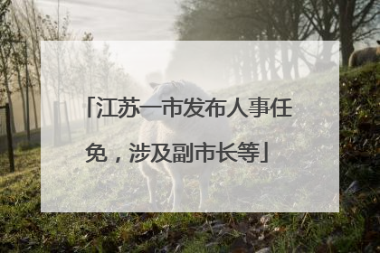 江苏一市发布人事任免，涉及副市长等