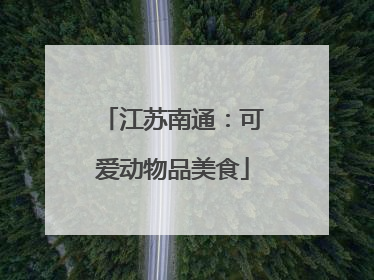 江苏南通：可爱动物品美食