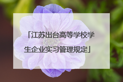 江苏出台高等学校学生企业实习管理规定