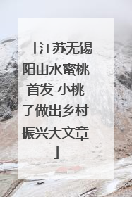 江苏无锡阳山水蜜桃首发 小桃子做出乡村振兴大文章