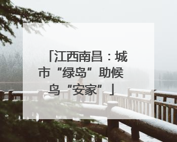 江西南昌：城市“绿岛”助候鸟“安家”