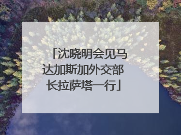 沈晓明会见马达加斯加外交部长拉萨塔一行