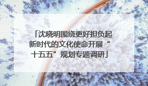 沈晓明围绕更好担负起新时代的文化使命开展“十五五”规划专题调研
