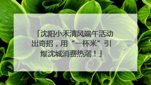 沈阳小禾清风端午活动出奇招，用“一杯米”引爆沈城消费热潮！