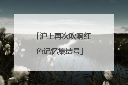 沪上再次吹响红色记忆集结号