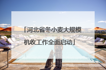河北省冬小麦大规模机收工作全面启动