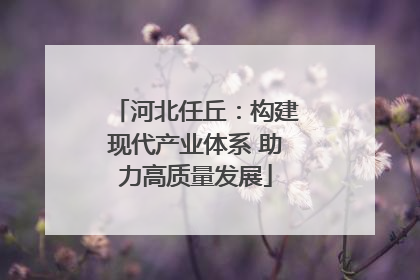 河北任丘：构建现代产业体系 助力高质量发展