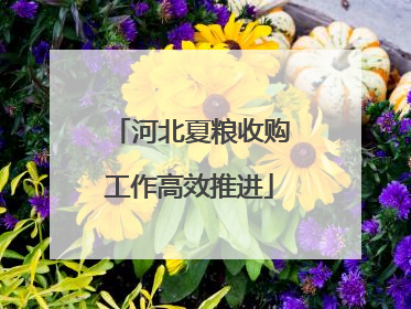 河北夏粮收购工作高效推进