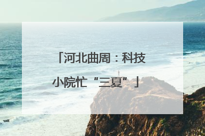 河北曲周：科技小院忙“三夏”