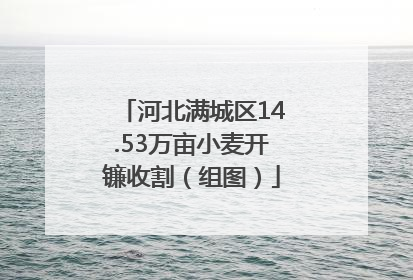 河北满城区14.53万亩小麦开镰收割（组图）