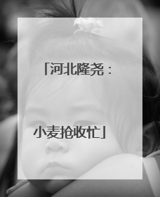 河北隆尧：小麦抢收忙