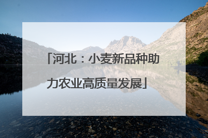 河北：小麦新品种助力农业高质量发展