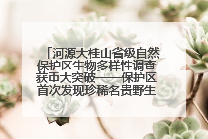 河源大桂山省级自然保护区生物多样性调查获重大突破——保护区首次发现珍稀名贵野生干巴菌与钝尾两头蛇