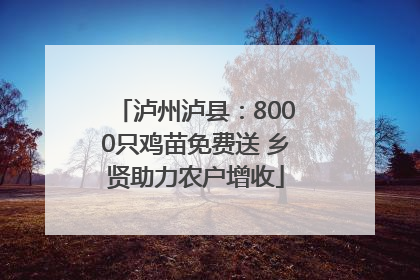 泸州泸县：8000只鸡苗免费送 乡贤助力农户增收