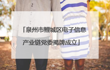 泉州市鲤城区电子信息产业链党委揭牌成立