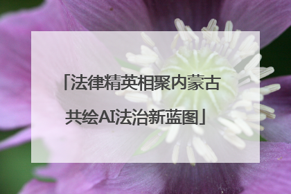 法律精英相聚内蒙古 共绘AI法治新蓝图
