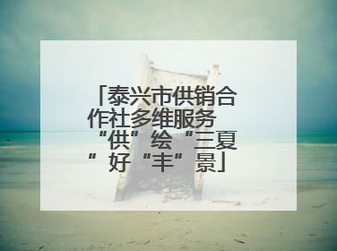 泰兴市供销合作社多维服务 “供”绘“三夏”好“丰”景