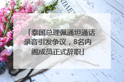 泰国总理佩通坦通话录音引发争议，8名内阁成员正式辞职