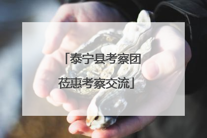 泰宁县考察团莅惠考察交流