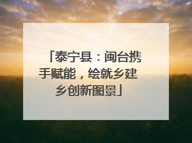 泰宁县：闽台携手赋能，绘就乡建乡创新图景