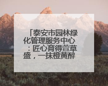 泰安市园林绿化管理服务中心：匠心育得萱草盛，一抹橙黄醉人间