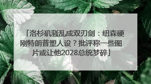 洛杉矶骚乱成双刃剑：纽森硬刚特朗普塑人设？批评称一些图片或让他2028总统梦碎