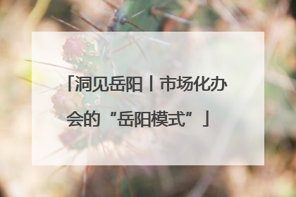洞见岳阳丨市场化办会的“岳阳模式”