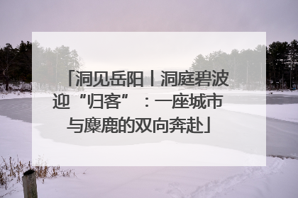 洞见岳阳丨洞庭碧波迎“归客”:一座城市与麋鹿的双向奔赴