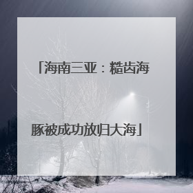 海南三亚：糙齿海豚被成功放归大海