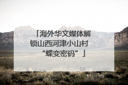 海外华文媒体解锁山西河津小山村“蝶变密码”