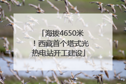 海拔4650米！西藏首个塔式光热电站开工建设