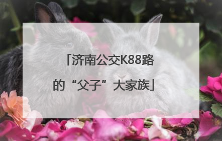 济南公交K88路的“父子”大家族