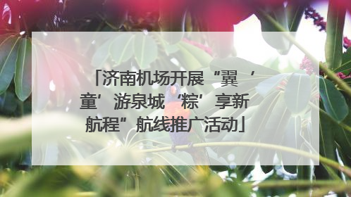 济南机场开展“翼‘童’游泉城‘粽’享新航程”航线推广活动