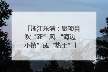 浙江乐清：聚项目吹“新”风 “海边小镇”成“热土”