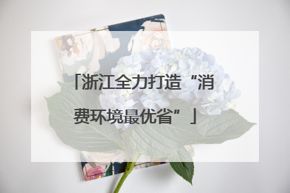 浙江全力打造“消费环境最优省”