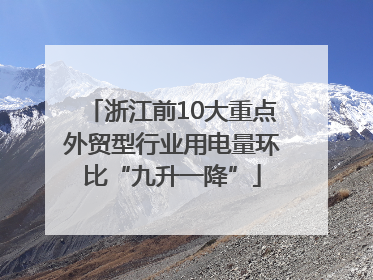 浙江前10大重点外贸型行业用电量环比“九升一降”