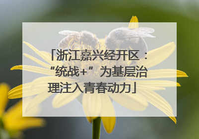 浙江嘉兴经开区：“统战+”为基层治理注入青春动力