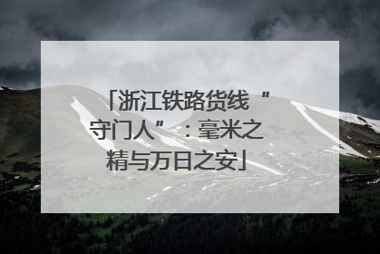 浙江铁路货线“守门人”：毫米之精与万日之安