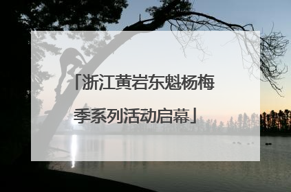 浙江黄岩东魁杨梅季系列活动启幕