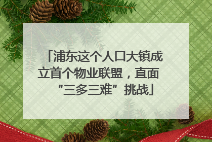 浦东这个人口大镇成立首个物业联盟，直面“三多三难”挑战