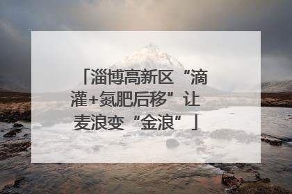 淄博高新区“滴灌+氮肥后移”让麦浪变“金浪”