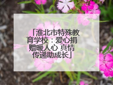 淮北市特殊教育学校：爱心捐赠暖人心 真情传递助成长