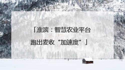 淮滨：智慧农业平台跑出麦收“加速度”