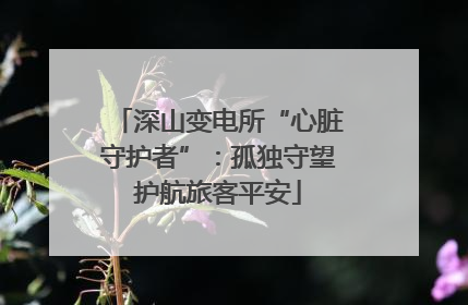 深山变电所“心脏守护者”：孤独守望护航旅客平安