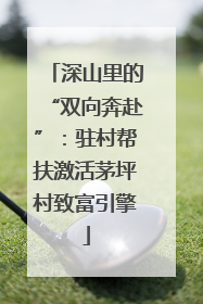 深山里的“双向奔赴”：驻村帮扶激活茅坪村致富引擎