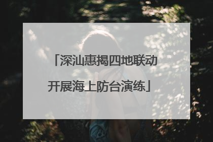 深汕惠揭四地联动开展海上防台演练