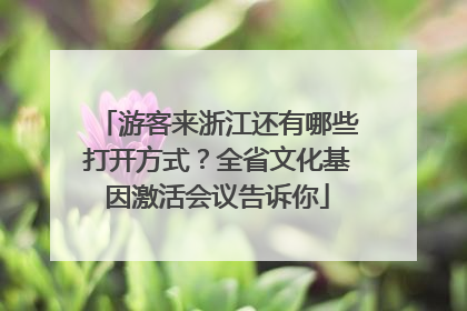 游客来浙江还有哪些打开方式？全省文化基因激活会议告诉你