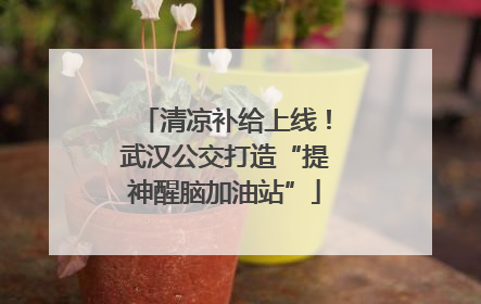 清凉补给上线！武汉公交打造“提神醒脑加油站”